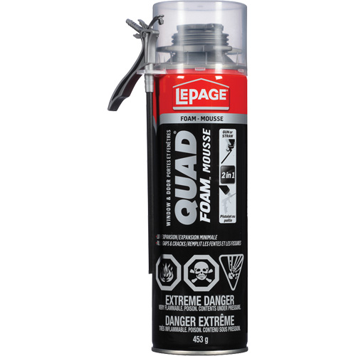 Mousse d'installation de portes & fen&ecirc;tres Quad Mousse, Canette a&eacute;rosol, Havane D. Morneault & Fils