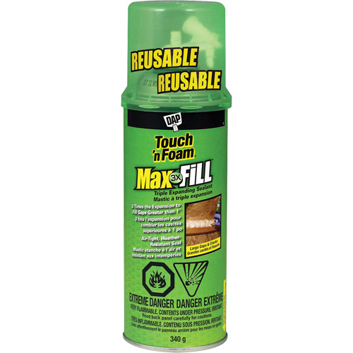 Touch 'n Foam&reg; Max Fill Triple Expanding Sealant, 340 g, Aerosol Can, Cream D. Morneault & Fils