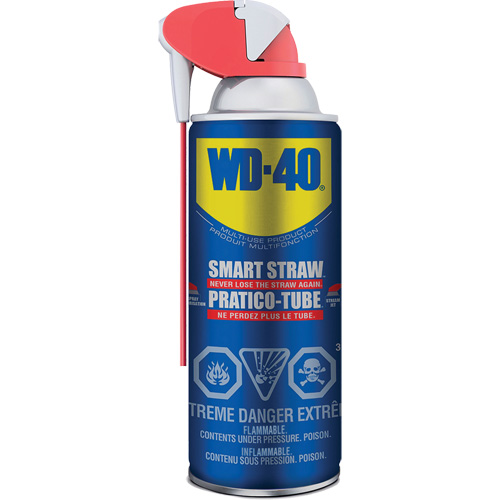 Multi-use Lubricant with Smart Straw, Aerosol Can, 325 g D. Morneault & Fils
