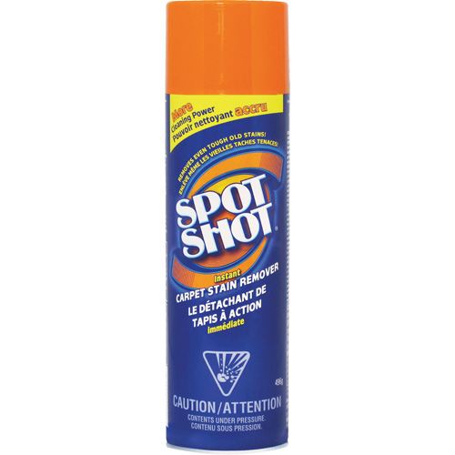 Spot Shot&reg; Professional Instant Carpet Stain Remover, 496 g, Aerosol Can D. Morneault & Fils