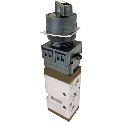 Valve Selector, 116 PSI D. Morneault & Fils