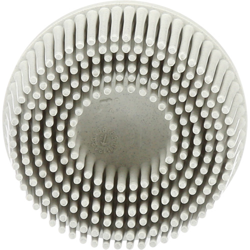 Scotch-Brite Roloc Bristle Discs, 120 Grit, 2" Dia. D. Morneault & Fils