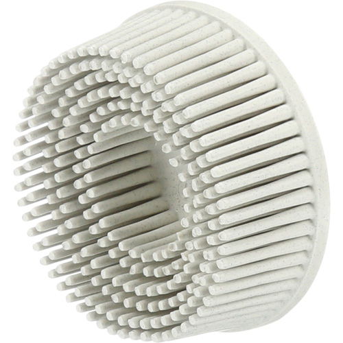 Scotch-Brite Roloc Bristle Discs, 120 Grit, 2" Dia. D. Morneault & Fils
