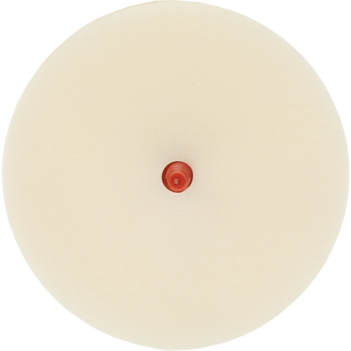 Scotch-Brite Moulding Adhesive & Stripe Removal Disc, 7501, 4" Dia. D. Morneault & Fils