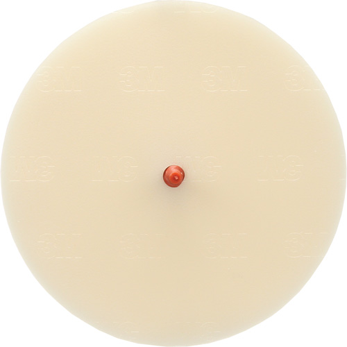 Scotch-Brite Moulding Adhesive and Stripe Removal Disc 7502, 6" Dia. D. Morneault & Fils