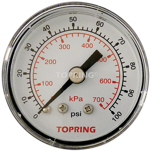 Pressure Gauge, 1-1/2" , 0 - 100 psi, Back Mount, Analogue D. Morneault & Fils