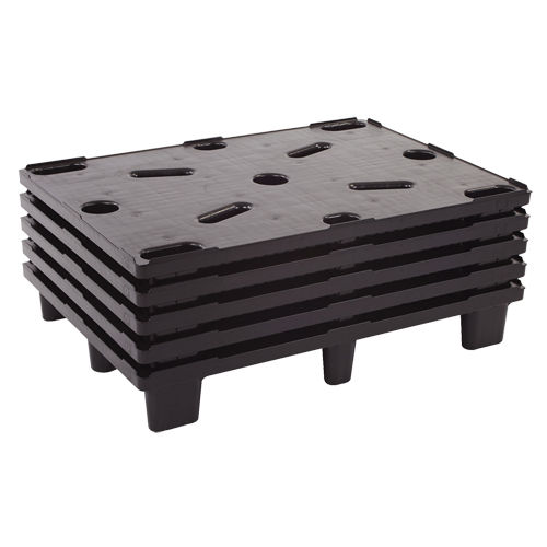 Palette petit format D. Morneault & Fils