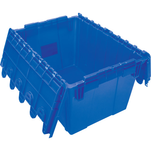 Flip Top Plastic Distribution Container, 21.65" x 15.5" x 12.5", Blue D. Morneault & Fils