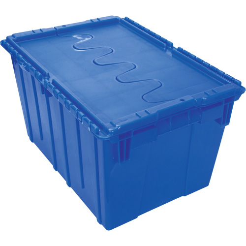 Flip Top Plastic Distribution Container, 21.65" x 15.5" x 12.5", Blue D. Morneault & Fils