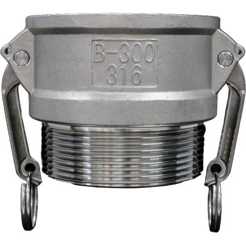 Cam & Groove Coupling, Stainless Steel, Type B, 1-1/4", Male NPT, 250 PSI D. Morneault & Fils