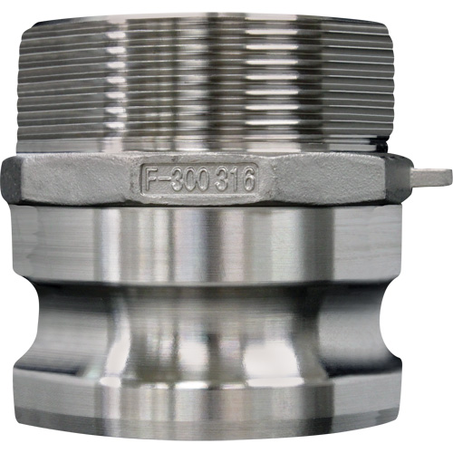 Cam & Groove Coupling, Stainless Steel, Type F, 3", Male NPT, 200 psi D. Morneault & Fils