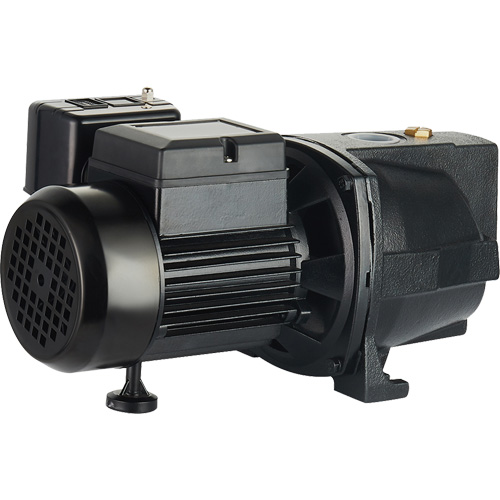 Dual Voltage Cast Iron Shallow Well Jet Pump, 115 V/230 V, 1100 GPH, 1 HP D. Morneault & Fils