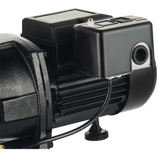 Dual Voltage Cast Iron Shallow Well Jet Pump, 115 V/230 V, 1100 GPH, 1 HP D. Morneault & Fils