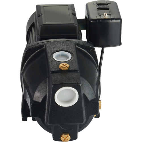 Dual Voltage Cast Iron Shallow Well Jet Pump, 115 V/230 V, 1100 GPH, 1 HP D. Morneault & Fils