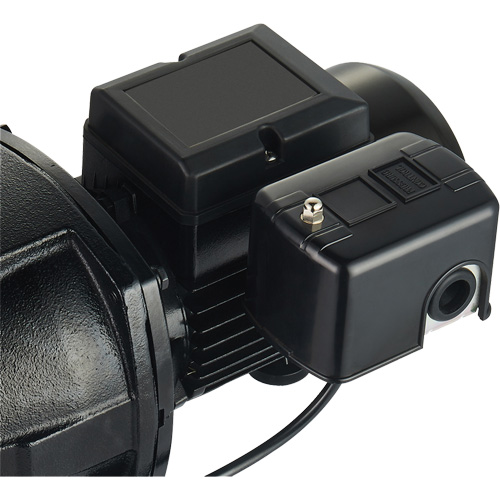 Dual Voltage Cast Iron Shallow Well Jet Pump, 115 V/230 V, 1100 GPH, 1 HP D. Morneault & Fils