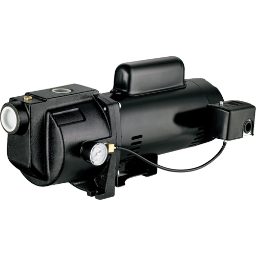 Pompe &agrave; jet en fonte &agrave; double tension pour puit peu profond, 115 V/230 V, 1260 gal./h, 1 CV D. Morneault & Fils