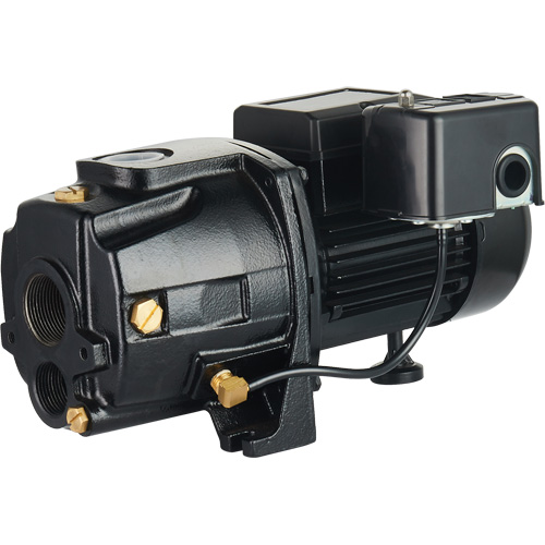 Pompe &agrave; jet en fonte &agrave; double tension transformable, 115 V/230 V, 1100 gal./h, 1/2 CV D. Morneault & Fils