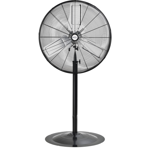 Non-Oscillating Pedestal Fan, Heavy-Duty, 2 Speed, 30" Diameter D. Morneault & Fils