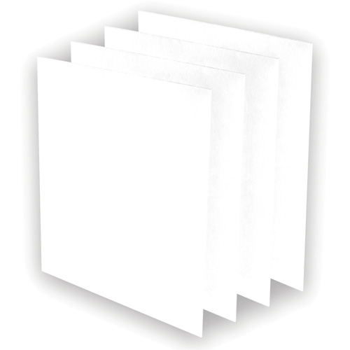 Pr&eacute;-filtres AeraMax Pro AM3 ou AM4, 13,75" la x 0,13" p x 14,38" h D. Morneault & Fils