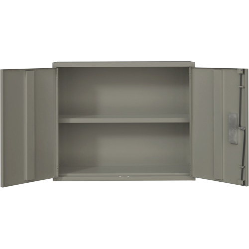 Armoire murale, Acier, 2 Tablettes, 30" h x 36" la x 12" P, Gris D. Morneault & Fils