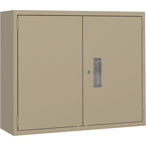 Armoire murale, Acier, 2 Tablettes, 30" h x 36" la x 12" P, Beige D. Morneault & Fils