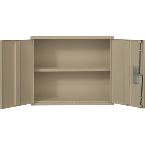Armoire murale, Acier, 2 Tablettes, 30" h x 36" la x 12" P, Beige D. Morneault & Fils