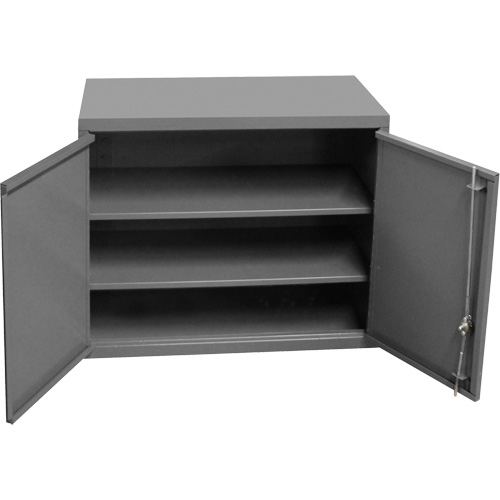Wall-Mounted Cabinet, 27" H x 13-11/16" W x 35-7/8" D, 2 Shelves, Steel, Grey D. Morneault & Fils