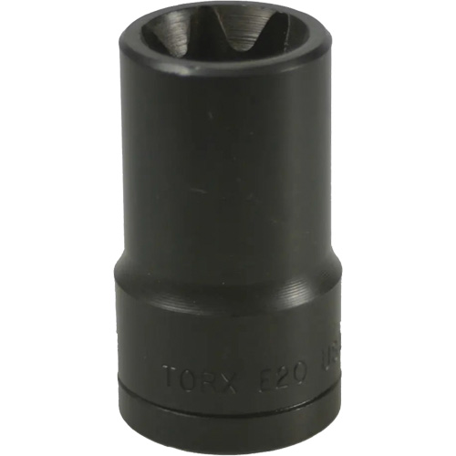 E-20 Torx&reg; Socket D. Morneault & Fils