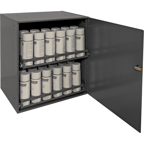 Armoire de rangement pour contenants a&eacute;rosol, Acier, 21-7/8" h x 15-15/16" la x 20-5/16" P, Gris D. Morneault & Fils