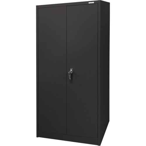 Storage Cabinet, Steel, 4 Shelves, 66" H x 30" W x 15" D, Black D. Morneault & Fils