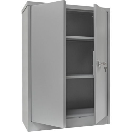 Counter-High Storage Cabinet, Steel, 2 Shelves, 42" H x 48" W x 24" D, Grey D. Morneault & Fils
