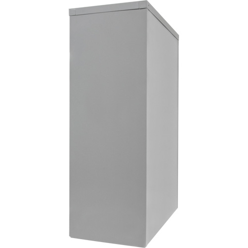 Counter-High Storage Cabinet, Steel, 2 Shelves, 42" H x 48" W x 24" D, Grey D. Morneault & Fils