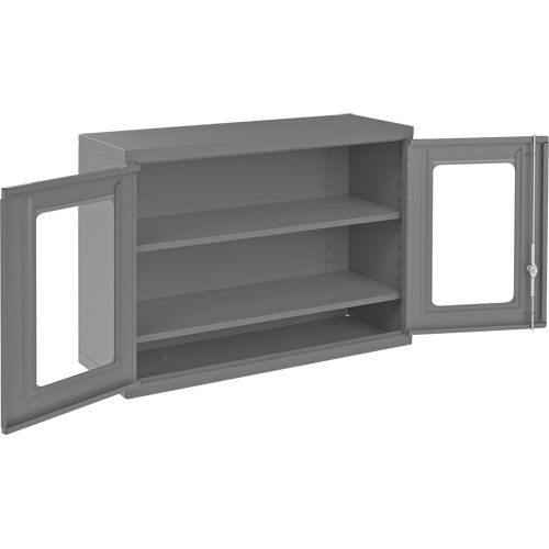 Wall-Mountable Storage Cabinet with Clearview Doors, 26-15/16" H x 35-7/8" W x 13-11/16" D, 2 Shelves, Steel, Grey D. Morneault & Fils