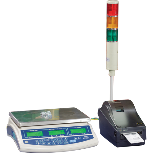Balance pour compter Abacus AB30, Capacit&eacute; 60 lb / 30 kg, Graduations 0,001 lb / 0,5 g D. Morneault & Fils