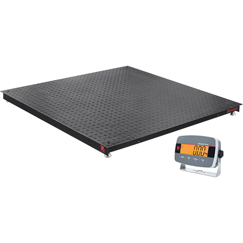 Defender 3000 Floor Scale, 5000 lbs. Capacity, 5' L x 5' W D. Morneault & Fils