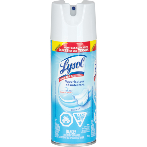 Disinfectant Spray, 350 g, Aerosol Can D. Morneault & Fils