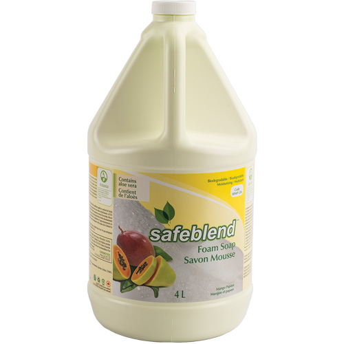 Savon pour les mains et le corps, Mousse, 4 L, Parfum&eacute; D. Morneault & Fils