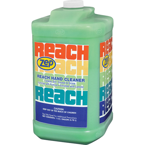 Reach Extra Heavy-Duty Hand Cleaner, Pumice, 3.78 L, Jug, Scented D. Morneault & Fils
