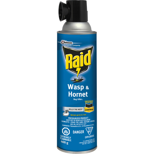 Insecticide contre les gu&ecirc;pes et les frelons Raid, 400 g, &agrave; base de solvant D. Morneault & Fils