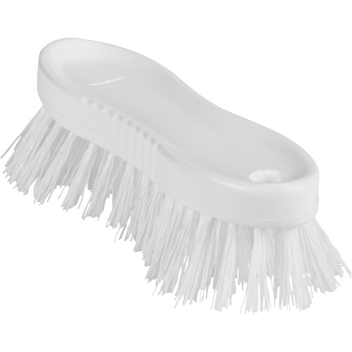 ColorCore Hand Brush, Stiff Bristles, 6" Long, White D. Morneault & Fils