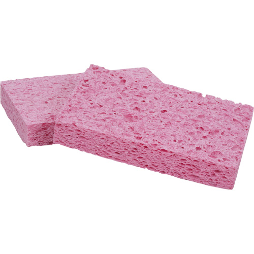 Scotch-Brite Sponge, Cellulose/Grouting/Scrubbing, 3-2/3" W x 6" L D. Morneault & Fils