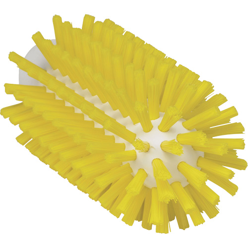 Brosse de 2,5", Soies Ferme, Longueur de 5-3/5", Jaune D. Morneault & Fils