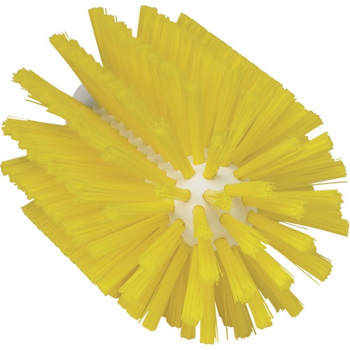 Brosse de 3,5", Soies Moyen, Longueur de 6", Jaune D. Morneault & Fils