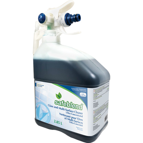 Nettoyant concentr&eacute; multisurfaces et pour le verre, 2,85 l, Bouteille D. Morneault & Fils