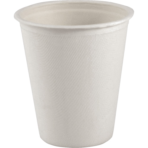 Single Wall Compostable Hot Drink Cup, Paper, 8 oz., White D. Morneault & Fils