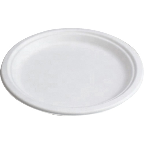 Compostable Plates D. Morneault & Fils
