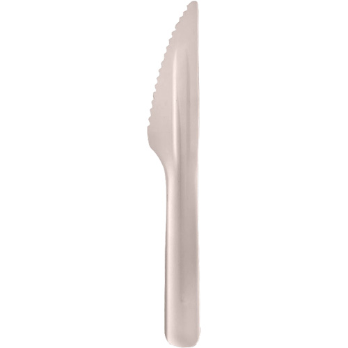 Bagasse Compostable Knives D. Morneault & Fils