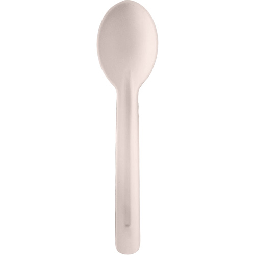 Bagasse Compostable Spoons D. Morneault & Fils