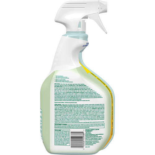 CloroxPro Clorox EcoClean Disinfecting Cleaner, 946 ml, Trigger Bottle D. Morneault & Fils