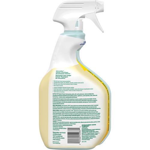 Nettoyant tout usage CloroxPro Clorox EcoClean, 946 ml, Bouteille &agrave; g&acirc;chette D. Morneault & Fils